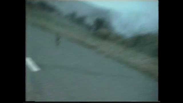 Эти забавные животные :) Новая Зеландия 2000г. смотреть онлайн