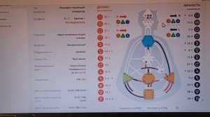 Манифестирующий Генератор 5/1 Творческая реализация Краткий разбор бодиграфа