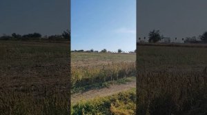 Едем в Крым через Мелитополь.