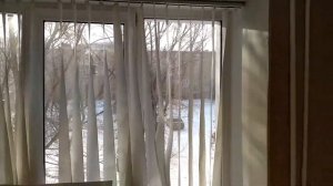 МОЖНО ЛИ КЛЕИТЬ ОБОИ ПРИ ОТКРЫТОМ ОКНЕ