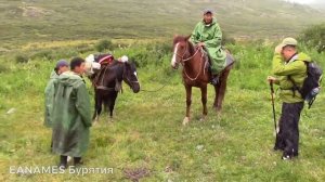 Лошади в Бурятии