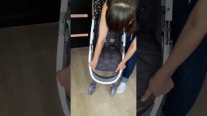 Видеообзор коляски Eleganza V2 Happy Baby