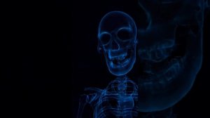 Выживший 2 часть