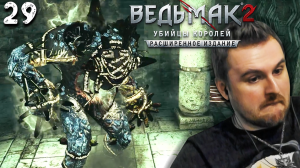 ТАЙНА ГАРГУЛИЙ  (29) ► Ведьмак 2 ► Расширенное издание