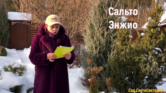 Сад. Обработки весь сезон.Важные нюансы.Препараты против болезней и вредителей.#обработкасадавесной
