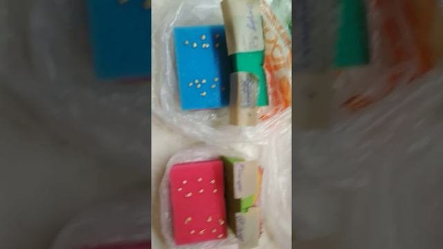 Результат проращивания семян перцев в губках, пролитых кипятком