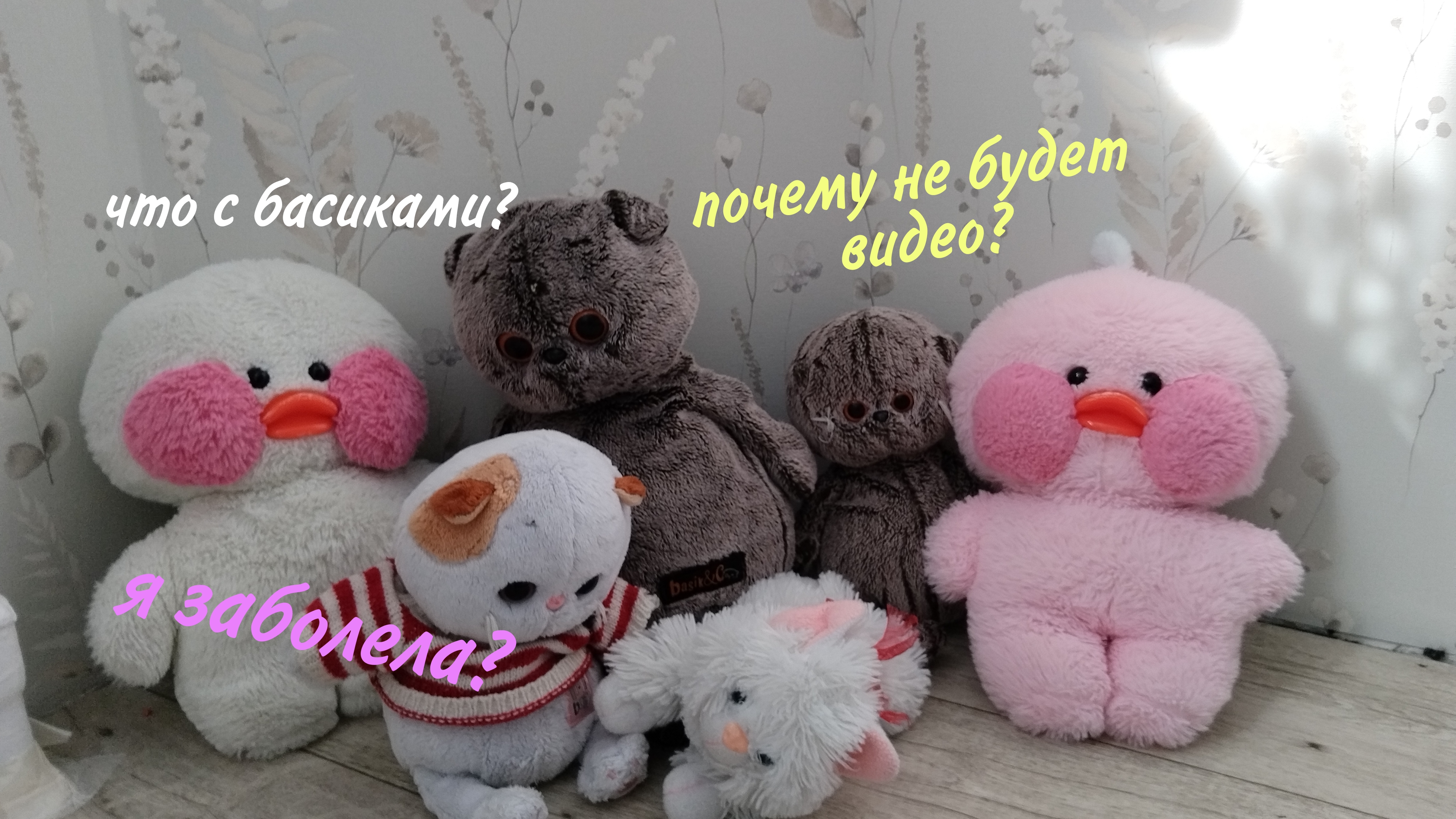 Почему не будет видео? смотреть онлайн