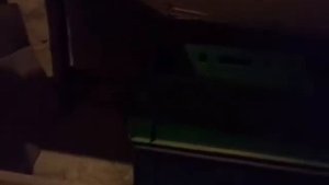 Дендробена. Способы просейки и выборки червя.