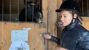 День из моей жизни.Конный спорт. ВЛОГ ?