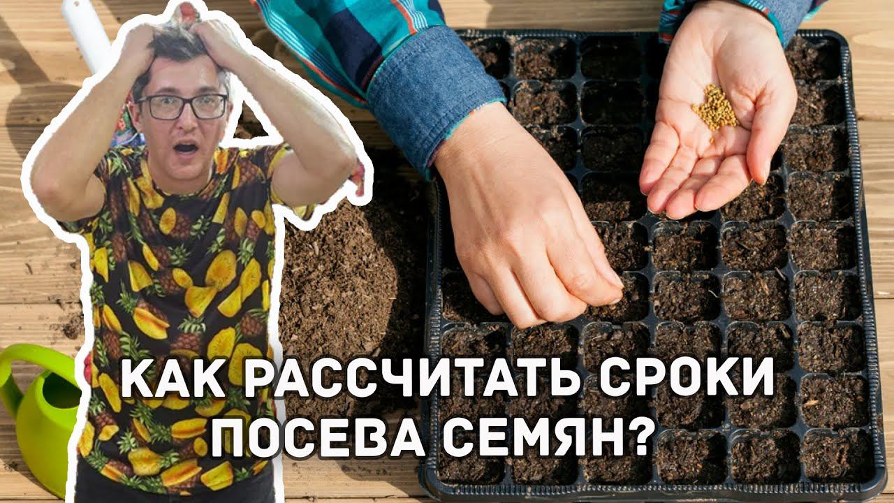 Когда нужно сажать семена?