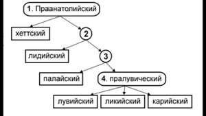 Анатолийские языки