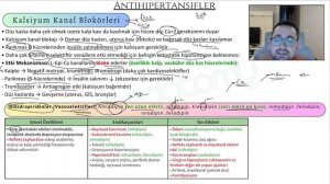 Kardiyovasküler Sistem - Hatırlama Yöntemleriyle Farmakoloji Örnek Dersi