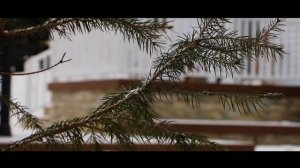 Canon EOS 70d Short/Cinematic film "Snow"