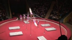 Гимнасты на турниках