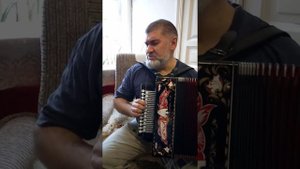 А дорога серою лентою вьётся. Песня под Гармонь.