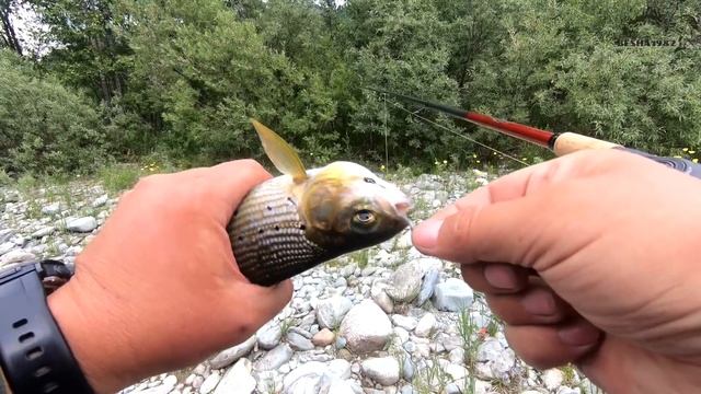 Горная рыбалка по хариусу/Забрались на лодках в самые верха, а как спускаться?/Travel на Тальмень#6 смотреть онлайн