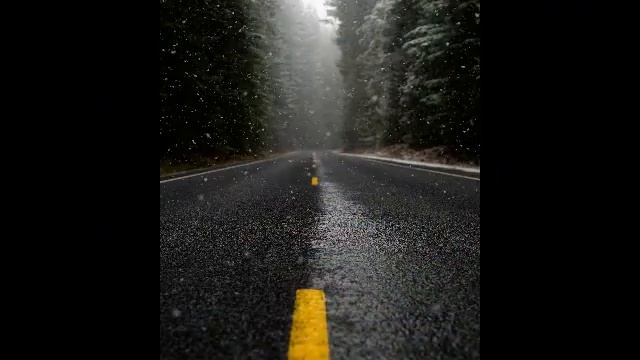 Божественная и неповторимая музыка и волшебный лес. смотреть онлайн