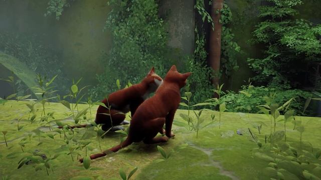 Ура ? - Stray - Прохождение №1 смотреть онлайн