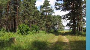 Песняры   Край ты мой любимый