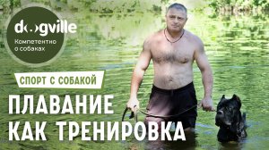 Плавание как тренировка - Заплыв с Кане-корсо