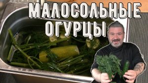 Огурцы молодцы. Малосольные быстрые