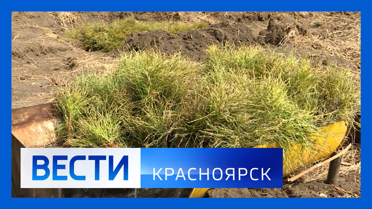 Вести Красноярск 04.05.2022