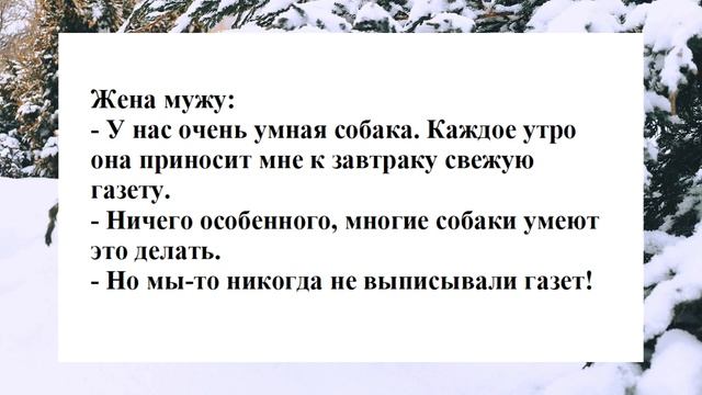№32 ... муж пришёл с охоты... Смешные анекдоты. Отборные анекдоты. Веселые анекдоты. Смех. Ржака.