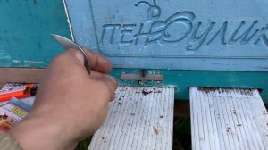 Обработка семьи шнурами тэда (амитраз)