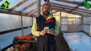 Закупаем КУПОРОС! Какой купорос лучше? Медный VS железный!  Правила использования купороса.