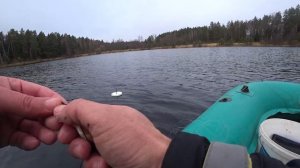 ДВУХДНЕВНАЯ РЫБАЛКА НА КРУЖКИ.Эти кружки ловят ЛУЧШЕ.Ловля щуки на кружки.1 серия