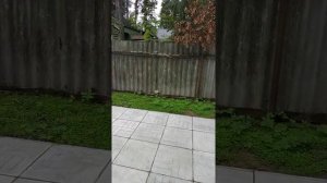 Садовые дорожки и парковка