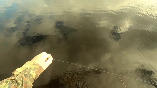 ГОРБАТЫЙ ОКУНЬ и КУМЖА на СПИННИНГ из маленькой лужи. Рыбалка на КОЛЬСКОМ. смотреть онлайн