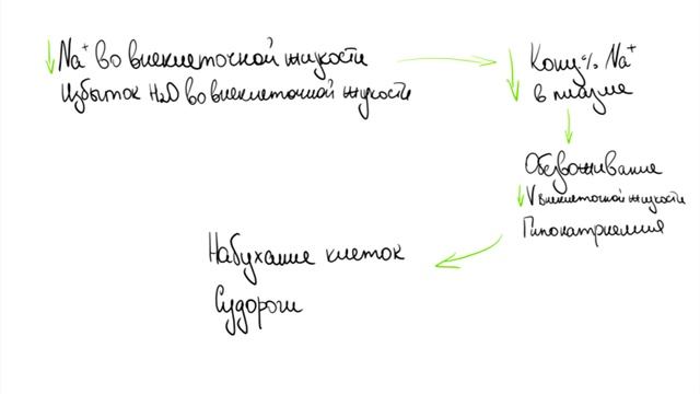 Лекция 9. Межклеточная жидкость, отёки. Нормальная физиология.