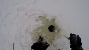 ЭТА РЫБАЛКА ЗАПОМНИТСЯ НА ВЕКА!!! Рыбалка на хапуги!!! От Улова истерика!!!