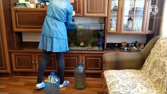 Занимаюсь аквариумом. Готовлю салаты. смотреть онлайн