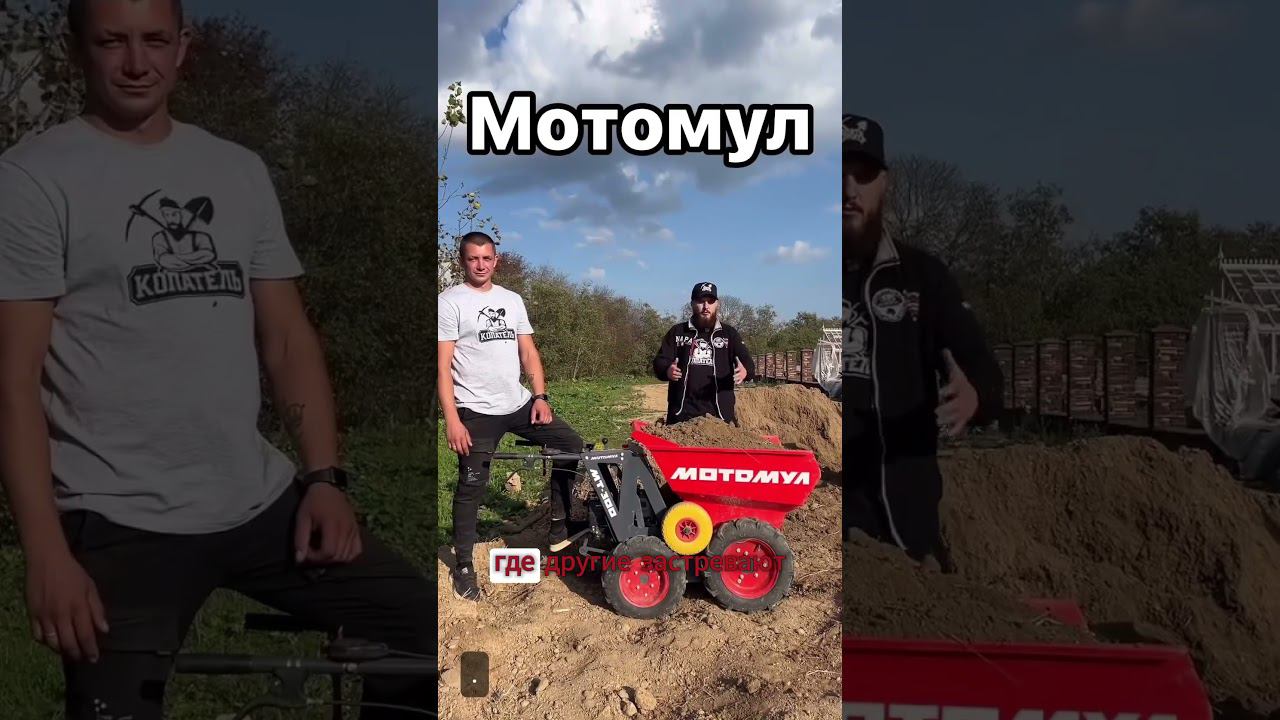 Ландшафт за 7 Дней: Преобразите Свой Участок  #shorst #дача  #ландшафтныйдизайн  #стройка