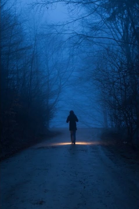 MrBogomol - Loop Station BOSS RC-505 — Forest Spirit (Премьера трека, 2023) смотреть онлайн