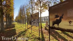 Walk in Saint-Germain-en-Laye , France parc  du château Novembre 2021 - Autumn ? ??