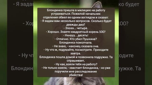 Про блондинку...