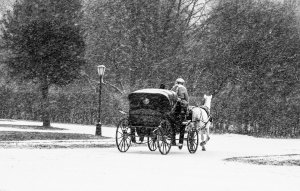Экипаж- Наталья Берег( музыка и слова Наталья Берег) . Аранжировка Юрий Бородин