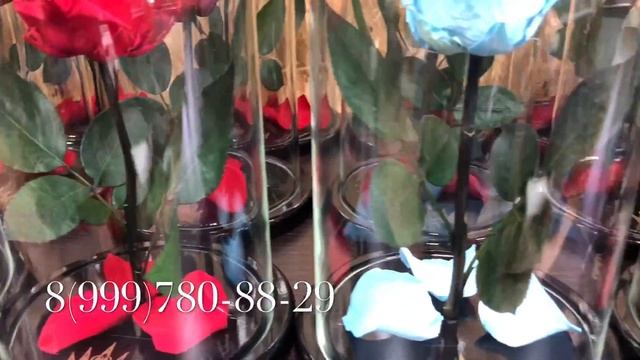 Роза в колбе ОПТОМ Rustling Roses "Шелест Роз"