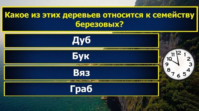 Интересные вопросы на эрудицию и кругозор с ответами #241 /Тест на общие знания /Tест на эрудицию