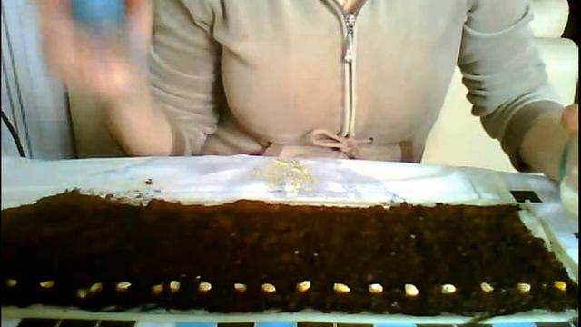 Посев в "распашонки"!!! Кукуруза. смотреть онлайн