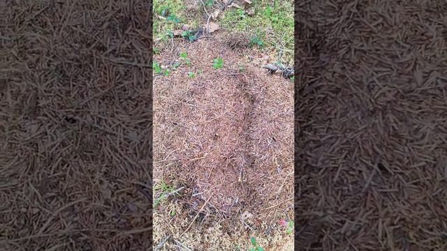 В поисках СЧ 2. смотреть онлайн