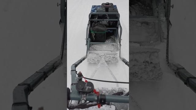 Обкатка Койра Богатырь
