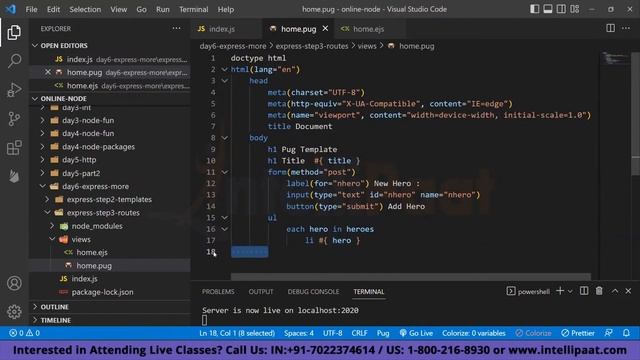 Full Stack Web Development Course |Full Stack Web Developer Course|Web Developer Course |Intellipaa
