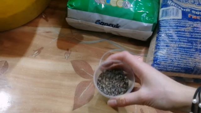 Грунт для суккулентов и кактусов без торфа | Состав и подготовка компонентов смотреть онлайн