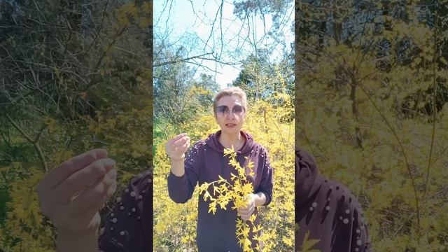 Эмоциональная поддержка .
