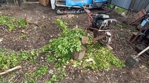 Самодельный шнековый измельчитель веток.часть3 Испытания