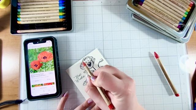 Discover the Stunning Poppy Greetings BetterPress Club | Spellbinders January 2024 смотреть онлайн